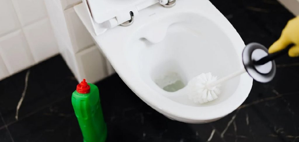 How to Clean Ceramic Toilet Bowl