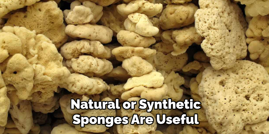 Natural or Synthetic
Sponges Are Useful