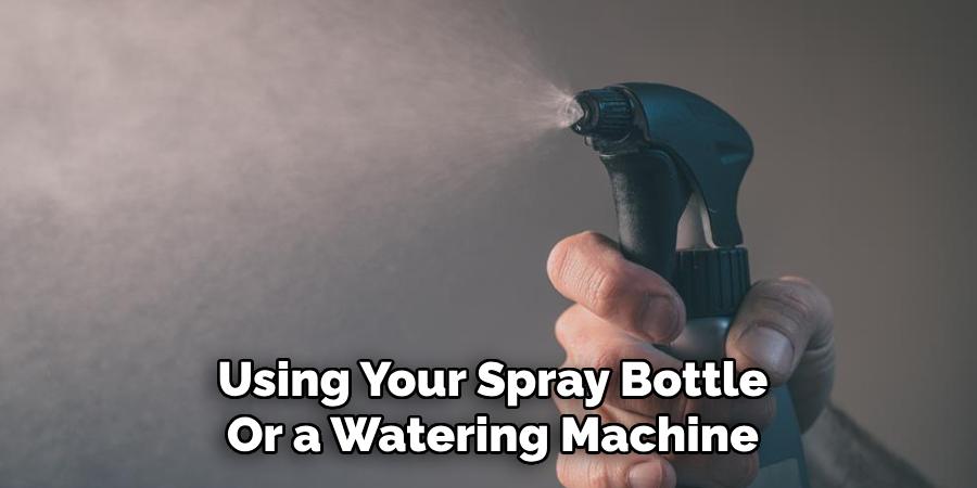 Using Your Spray Bottle
Or a Watering Machine