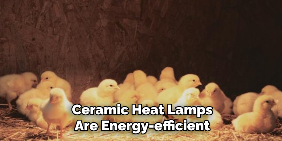 Ceramic Heat Lamps
Are Energy-efficient
