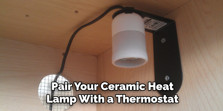 Pair Your Ceramic Heat
Lamp With a Thermostat
