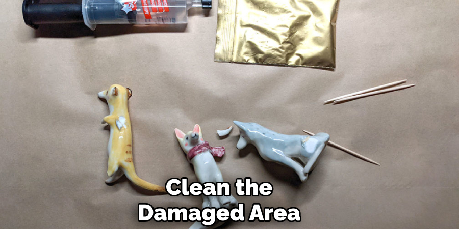 Clean the
Damaged Area