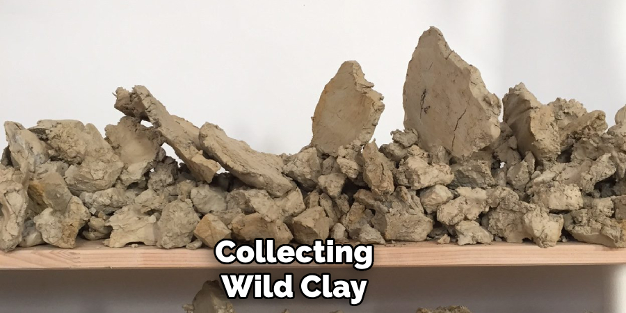 Collecting
Wild Clay