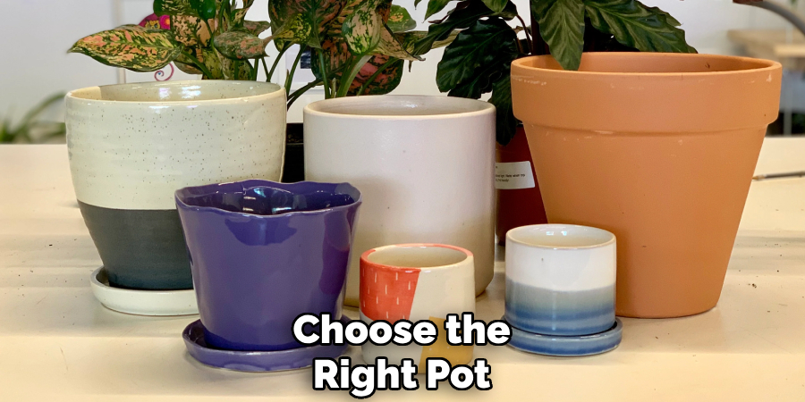 Choose the
Right Pot