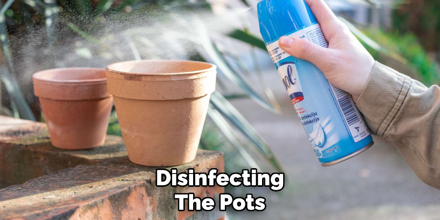 Disinfecting
The Pots