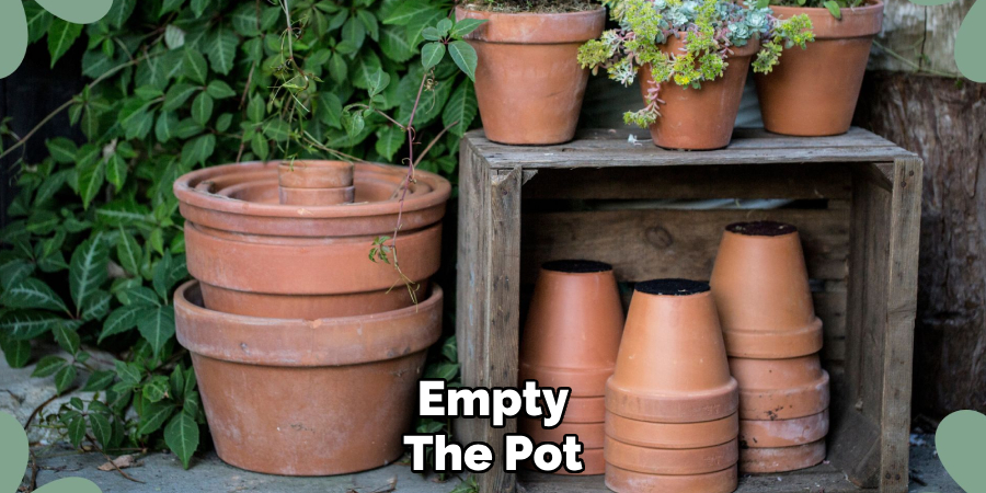 Empty
The Pot