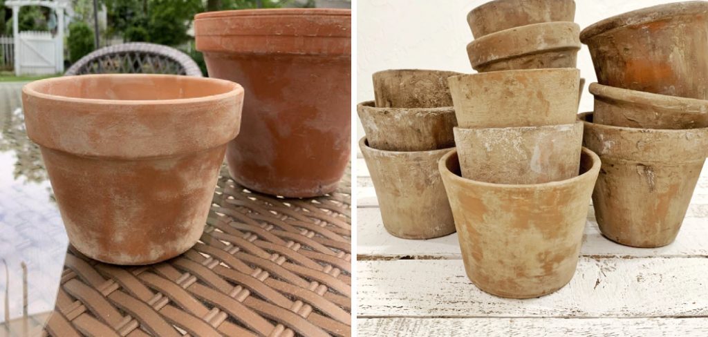 How to Age Terra Cotta Pots
