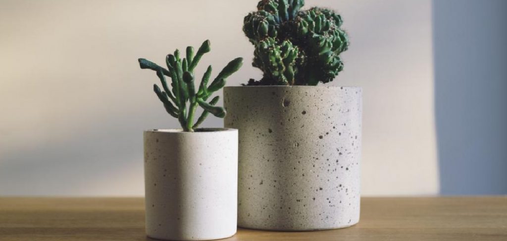 How to Clean Ceramic Vase