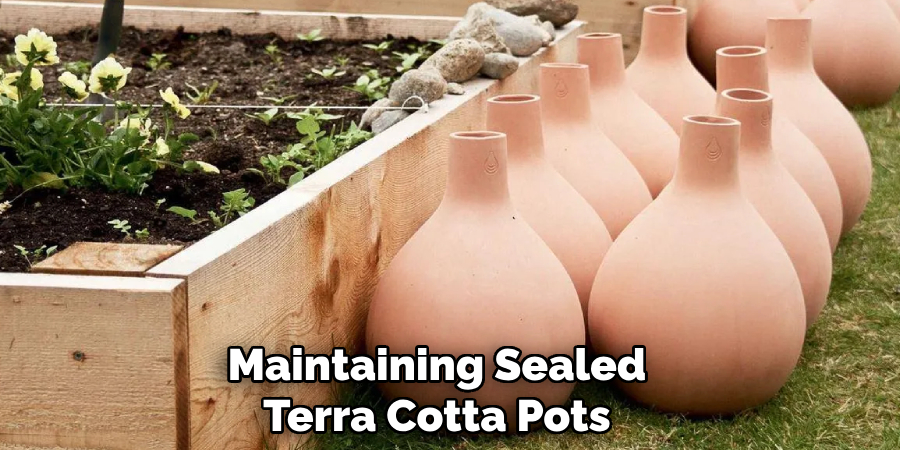 Maintaining Sealed
Terra Cotta Pots