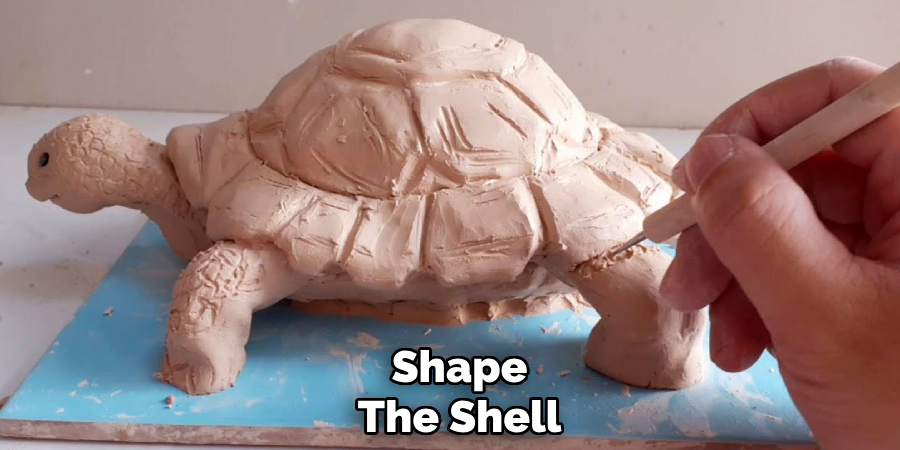 Shape
The Shell 