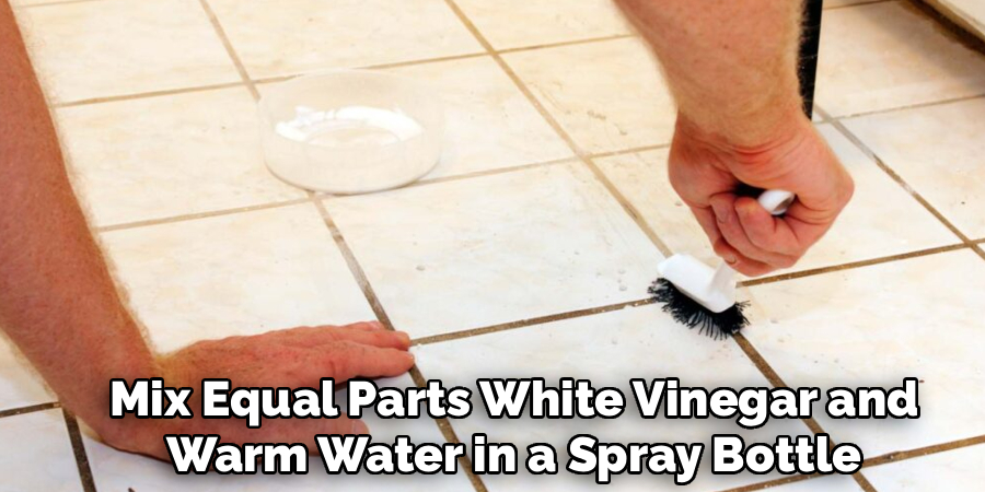 Mix Equal Parts White Vinegar and
Warm Water in a Spray Bottle