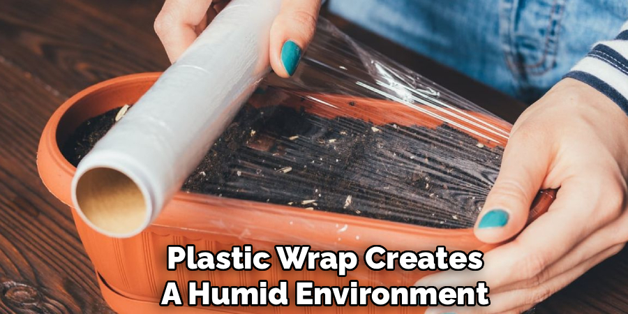 Plastic Wrap Creates
A Humid Environment