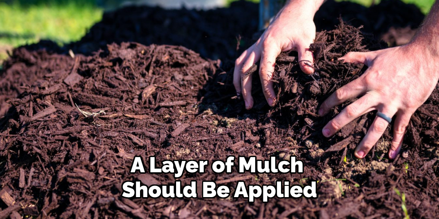 A Layer of Mulch Should Be Applied