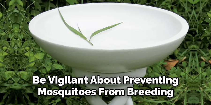 Be Vigilant About Preventing Mosquitoes From Breeding