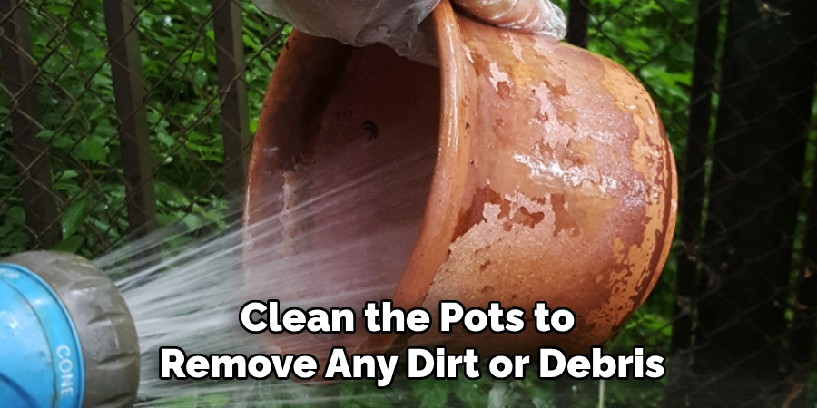 Clean the Pots to Remove Any Dirt or Debris