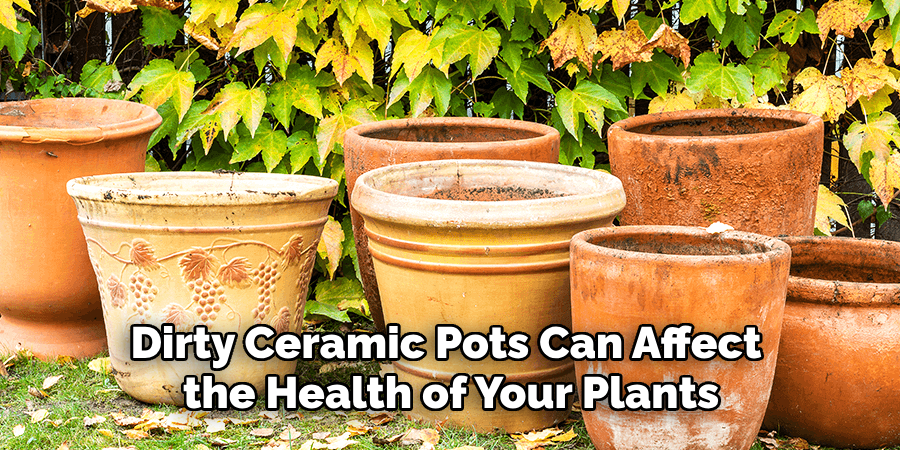 Dirty Ceramic Pots Can Affect the Health of Your Plants