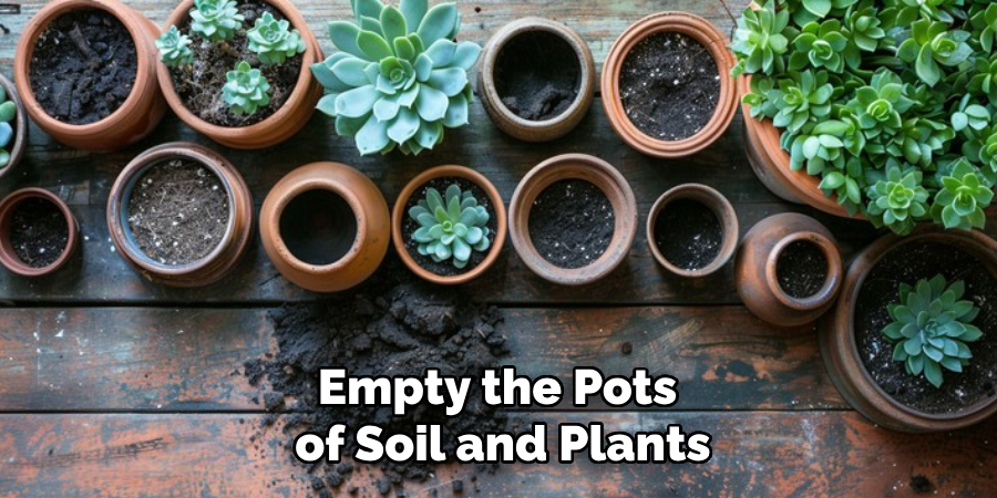 Empty the Pots of Soil and Plants