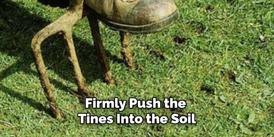 Firmly Push the Tines Into the Soil