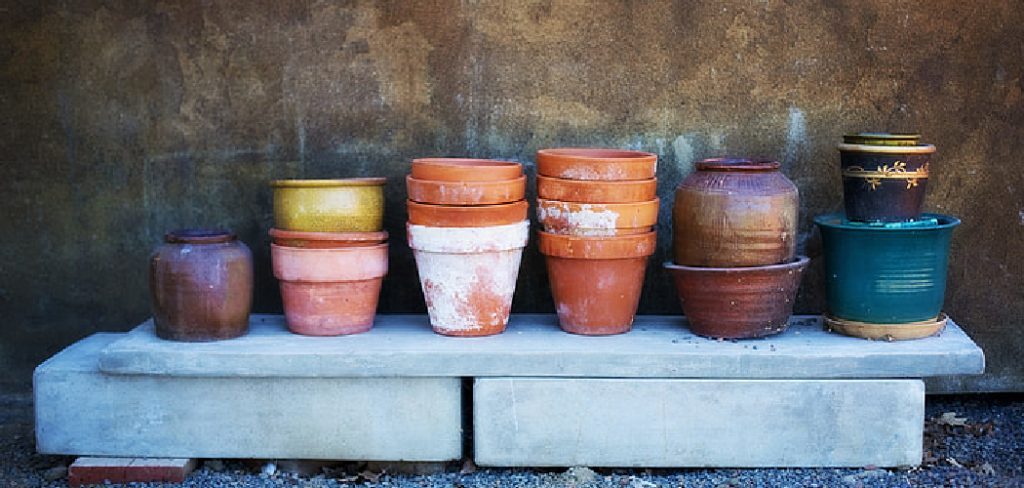 How to Clean Ceramic Plant Pots