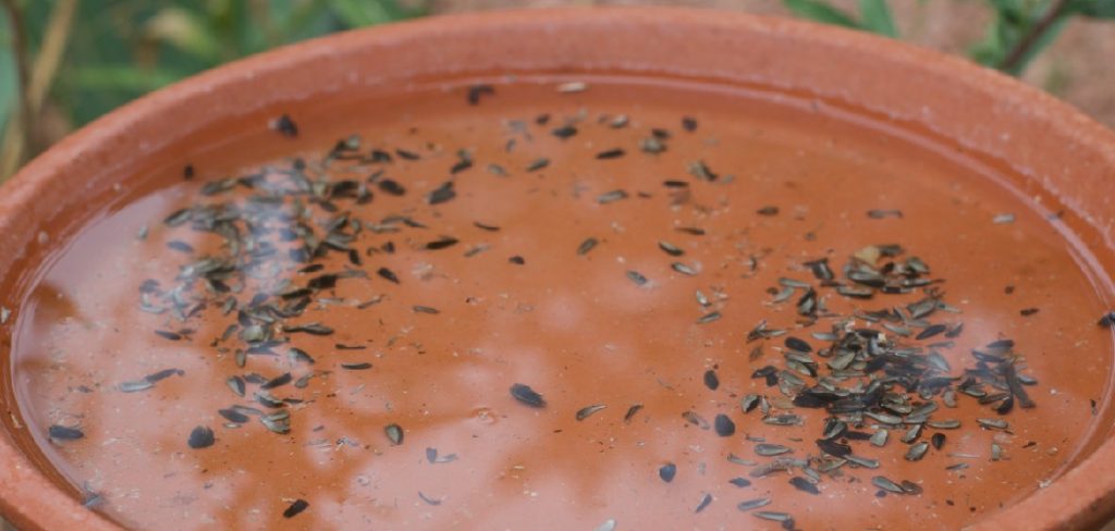 How to Make a Birdbath Out of Ceramic Pots