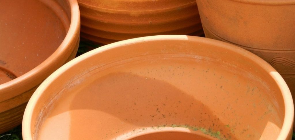 How to Tell if Ceramic or Terra Cotta Pot