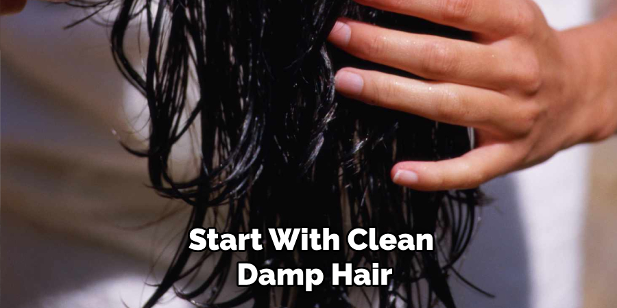 Start With Clean, Damp Hair