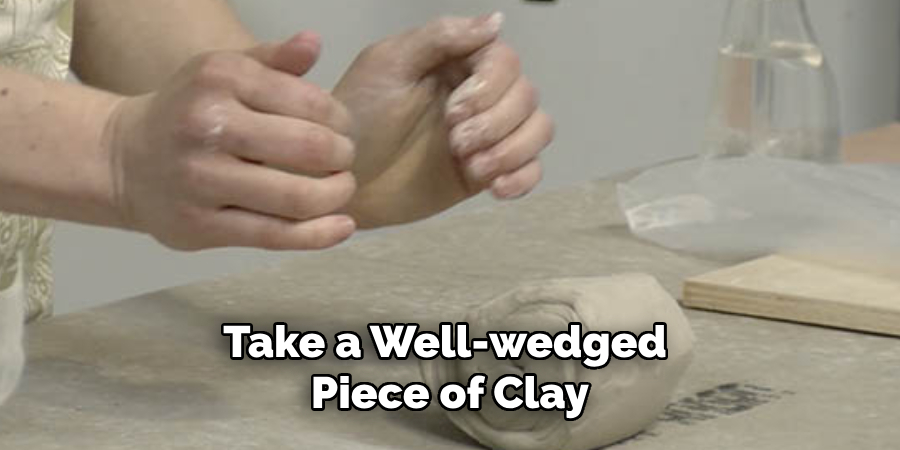 Take a Well-wedged Piece of Clay