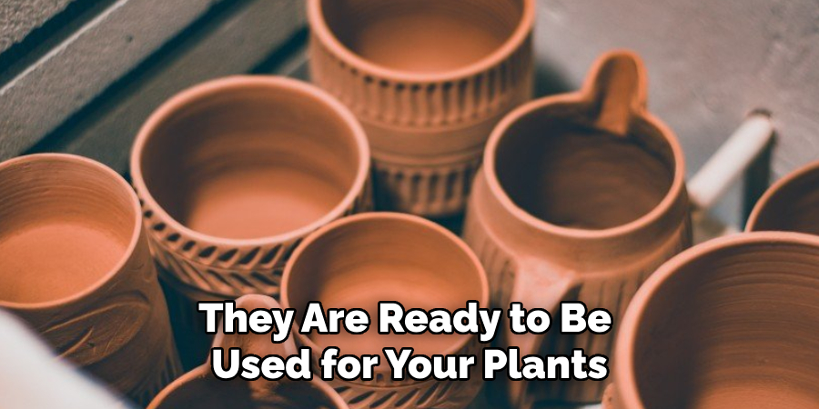 They Are Ready to Be Used for Your Plants