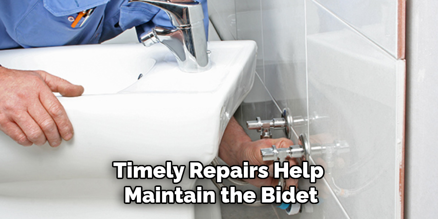 Timely Repairs Help Maintain the Bidet