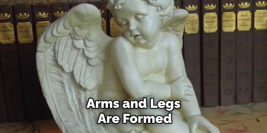 Arms and Legs Are Formed