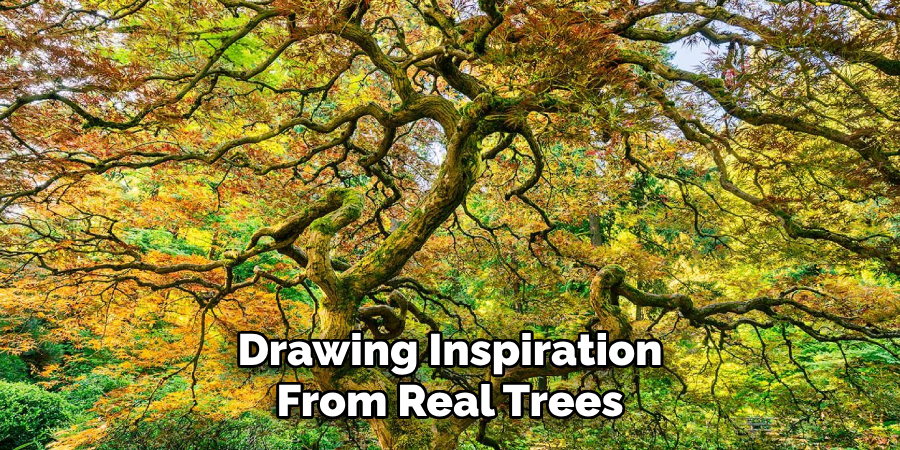 Drawing Inspiration From Real Trees 