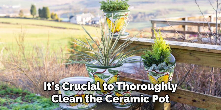 It's Crucial to Thoroughly Clean the Ceramic Pot