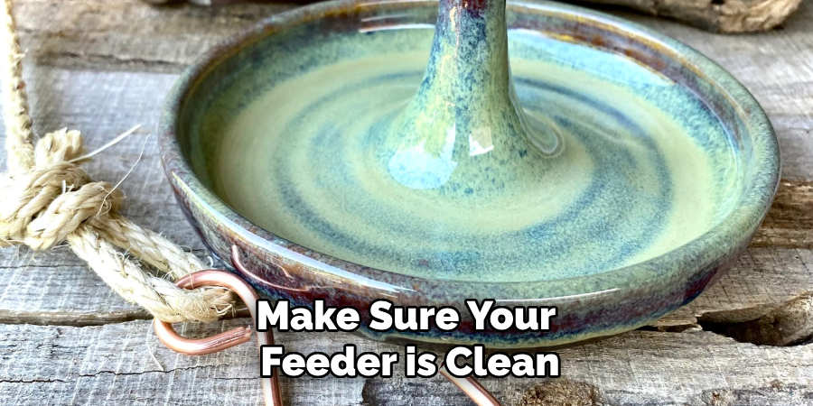 Make Sure Your Feeder is Clean