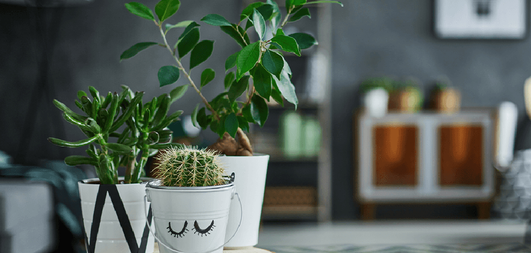 How to Fix Ceramic Planters at Home